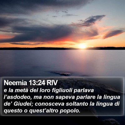 Neemia 13:24 RIV Bible Verse Image