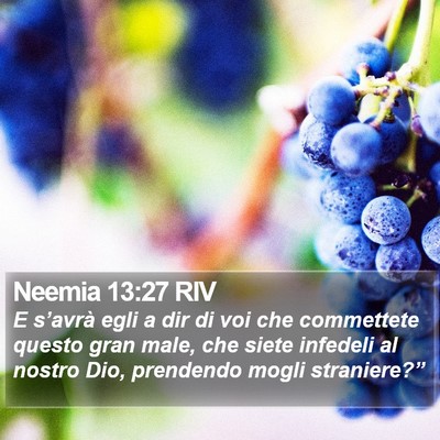 Neemia 13:27 RIV Bible Verse Image