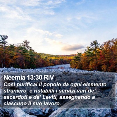 Neemia 13:30 RIV Bible Verse Image