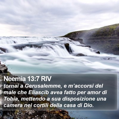 Neemia 13:7 RIV Bible Verse Image