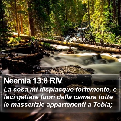 Neemia 13:8 RIV Bible Verse Image