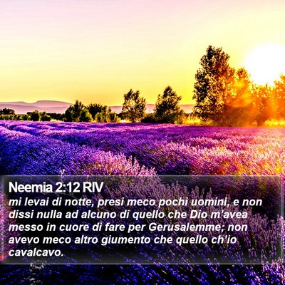Neemia 2:12 RIV Bible Verse Image