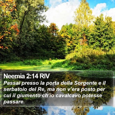 Neemia 2:14 RIV Bible Verse Image