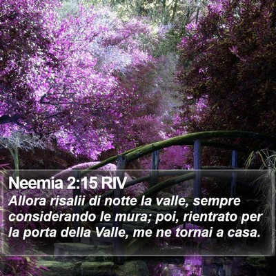 Neemia 2:15 RIV Bible Verse Image