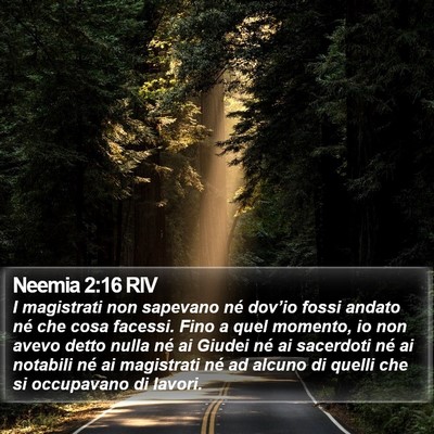 Neemia 2:16 RIV Bible Verse Image