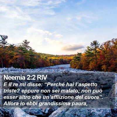 Neemia 2:2 RIV Bible Verse Image
