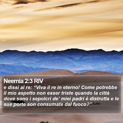 Neemia 2:3 RIV Bible Verse Image