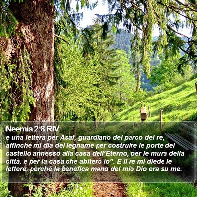 Neemia 2:8 RIV Bible Verse Image