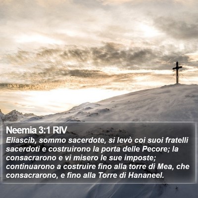 Neemia 3:1 RIV Bible Verse Image