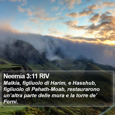 Neemia 3:11 RIV Bible Verse Image