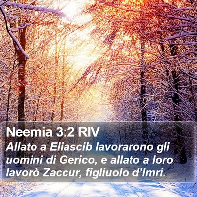 Neemia 3:2 RIV Bible Verse Image