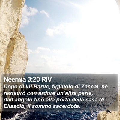 Neemia 3:20 RIV Bible Verse Image