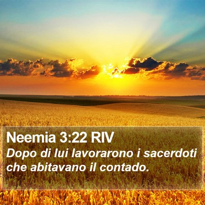Neemia 3:22 RIV Bible Verse Image