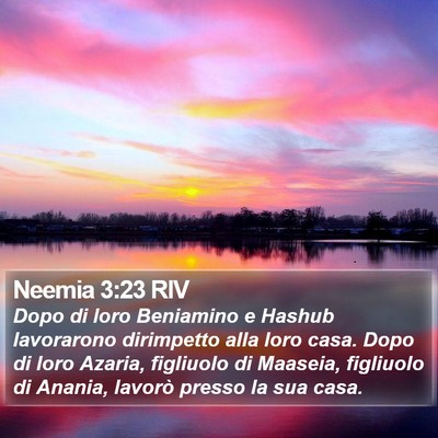Neemia 3:23 RIV Bible Verse Image