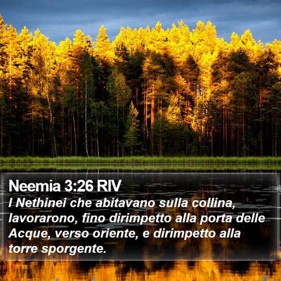Neemia 3:26 RIV Bible Verse Image