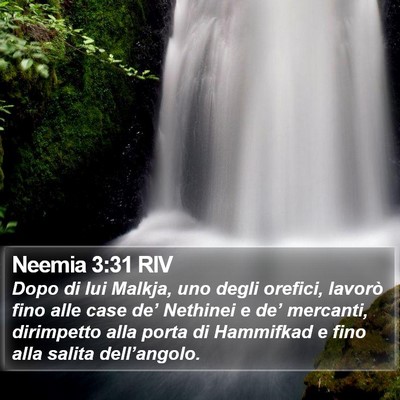 Neemia 3:31 RIV Bible Verse Image