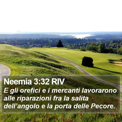 Neemia 3:32 RIV Bible Verse Image