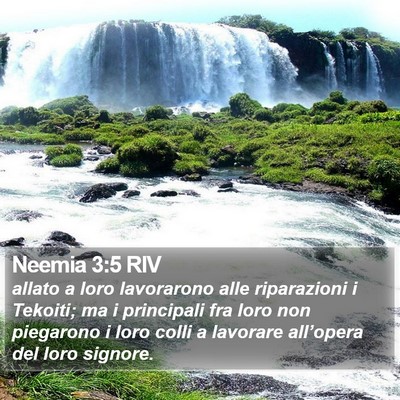 Neemia 3:5 RIV Bible Verse Image