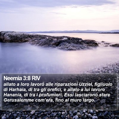 Neemia 3:8 RIV Bible Verse Image