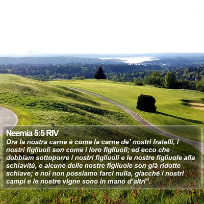 Neemia 5:5 RIV Bible Verse Image