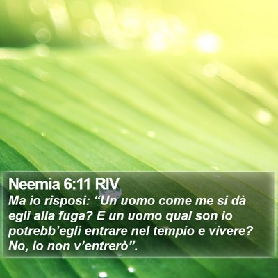 Neemia 6:11 RIV Bible Verse Image