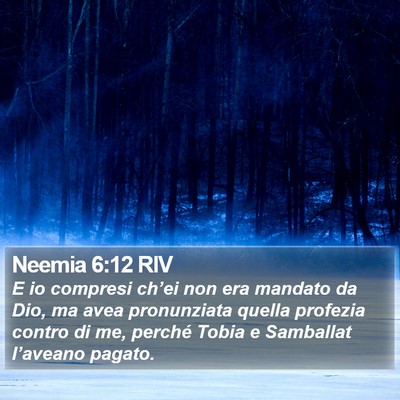 Neemia 6:12 RIV Bible Verse Image