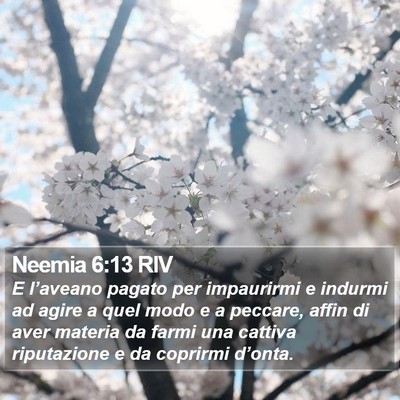 Neemia 6:13 RIV Bible Verse Image