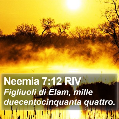 Neemia 7:12 RIV Bible Verse Image