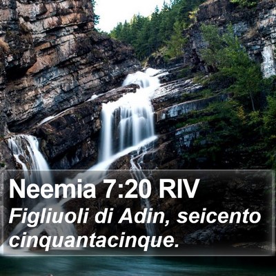 Neemia 7:20 RIV Bible Verse Image