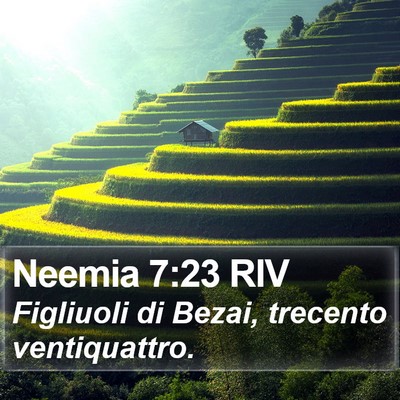 Neemia 7:23 RIV Bible Verse Image