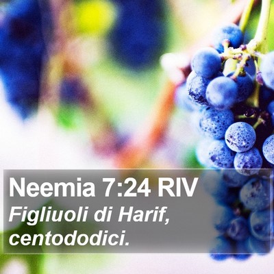 Neemia 7:24 RIV Bible Verse Image