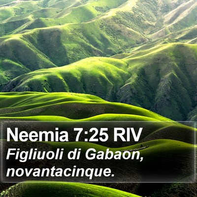Neemia 7:25 RIV Bible Verse Image