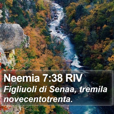 Neemia 7:38 RIV Bible Verse Image