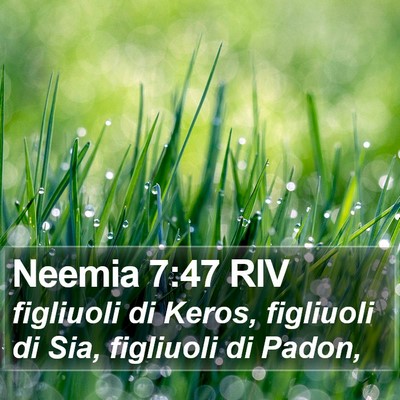 Neemia 7:47 RIV Bible Verse Image