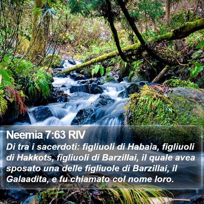 Neemia 7:63 RIV Bible Verse Image