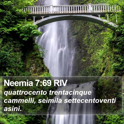 Neemia 7:69 RIV Bible Verse Image