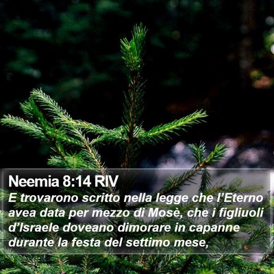 Neemia 8:14 RIV Bible Verse Image