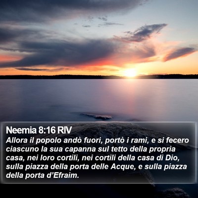 Neemia 8:16 RIV Bible Verse Image