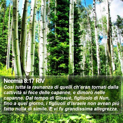 Neemia 8:17 RIV Bible Verse Image