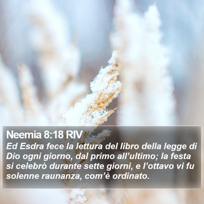 Neemia 8:18 RIV Bible Verse Image
