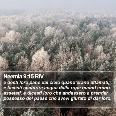 Neemia 9:15 RIV Bible Verse Image