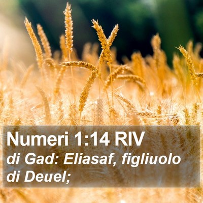 Numeri 1:14 RIV Bible Verse Image