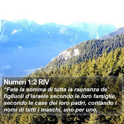 Numeri 1:2 RIV Bible Verse Image