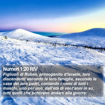 Numeri 1:20 RIV Bible Verse Image
