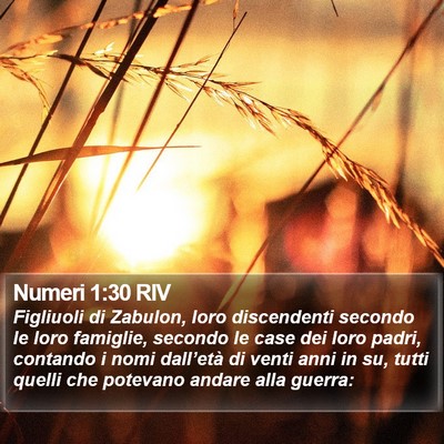 Numeri 1:30 RIV Bible Verse Image