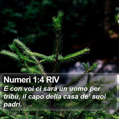 Numeri 1:4 RIV Bible Verse Image