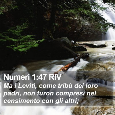 Numeri 1:47 RIV Bible Verse Image