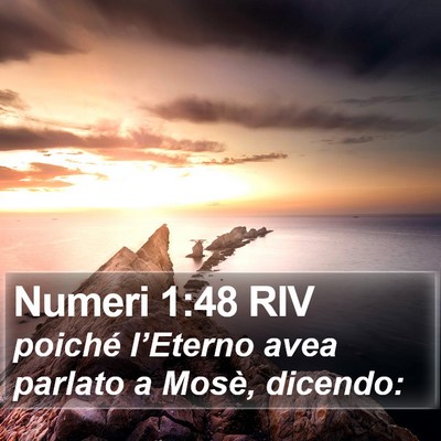 Numeri 1:48 RIV Bible Verse Image