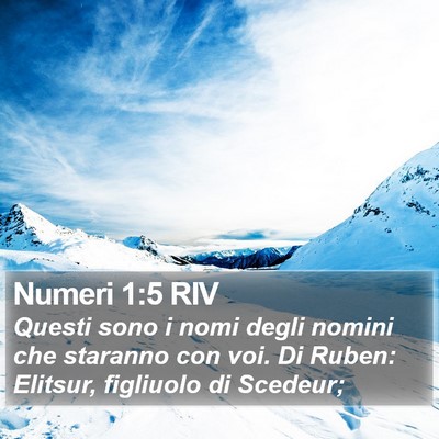 Numeri 1:5 RIV Bible Verse Image