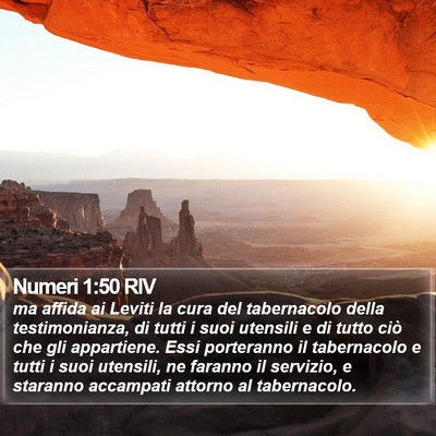 Numeri 1:50 RIV Bible Verse Image